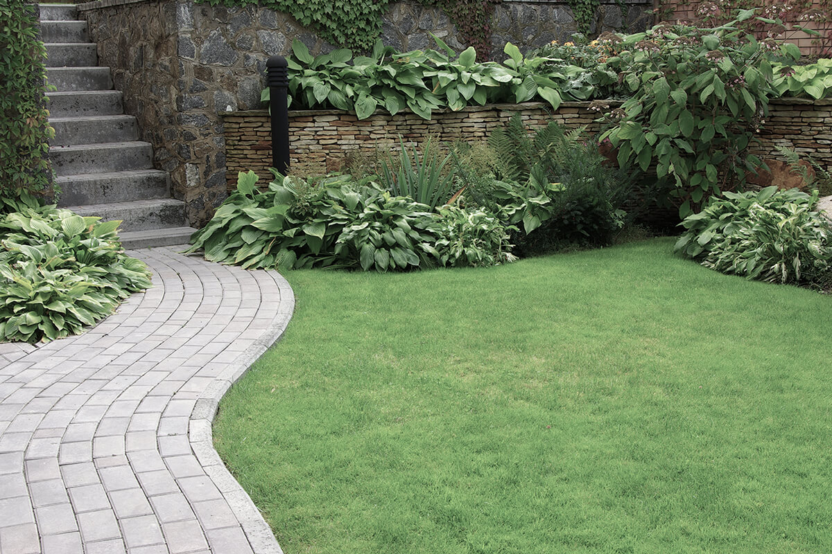 Welcome to Birchwood Landscaping